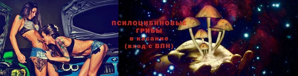 стаф Хадыженск