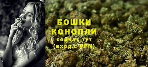 прущий лед Белокуриха